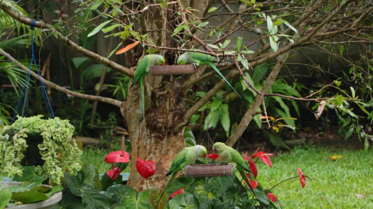 Villa Olga อูนาวาตูนา ภายนอก รูปภาพ